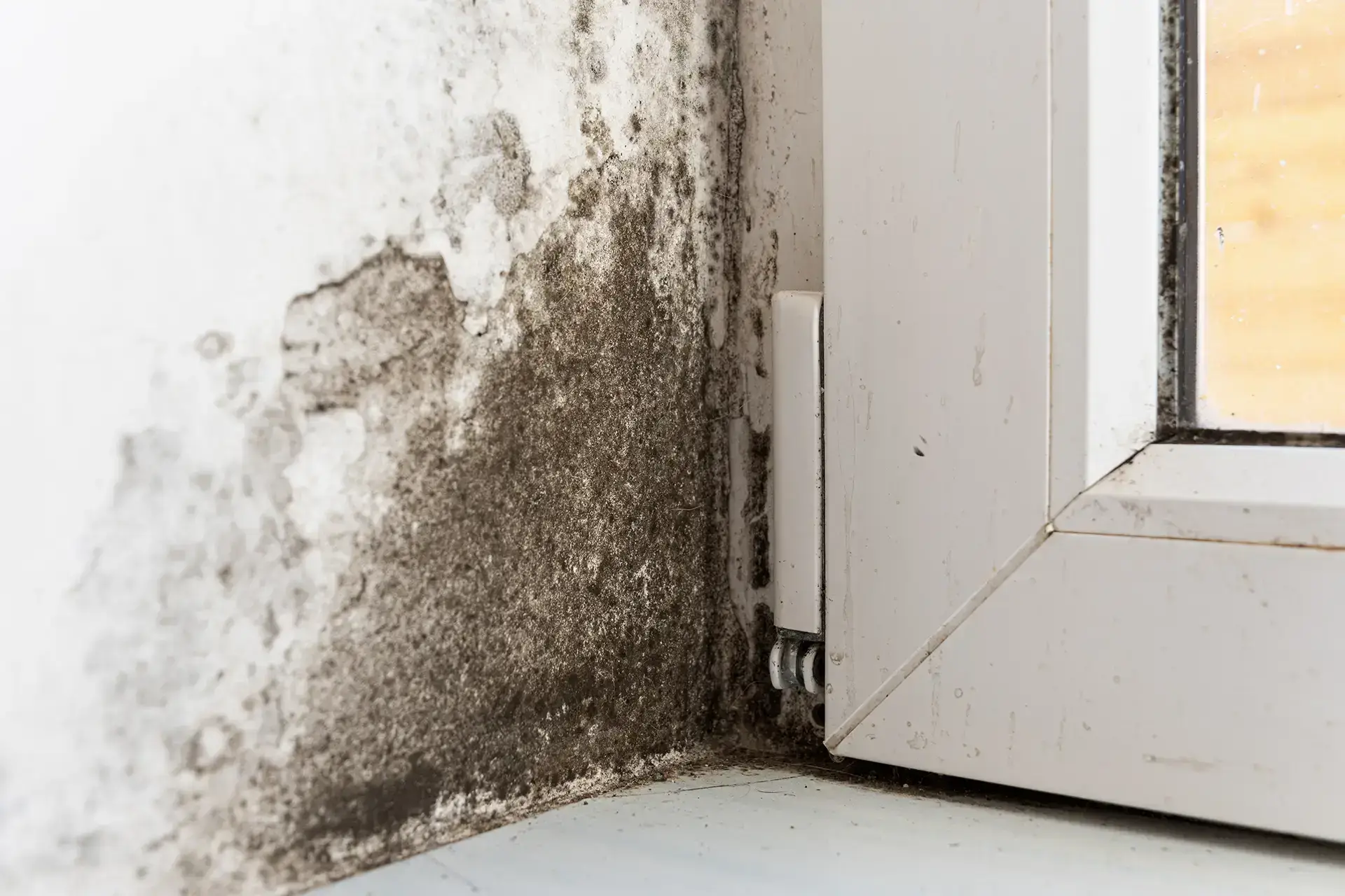Restoring Peace Of Mind After Unexpected Property Disasters — Anchorage, AK